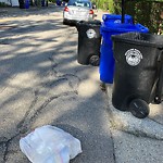 Trash/Recycling at 23 Davis Ave