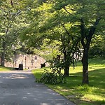 Public Trees at 96 Grove St