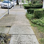 Sidewalk Obstruction at 40 Williams St North Brookline
