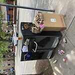 Trash/Recycling at Harvard St And Stedman St