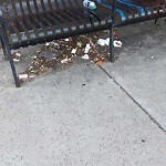 Trash/Recycling at 496 Harvard St