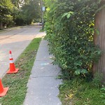 Sidewalk Obstruction at 144 Middlesex Rd, Newton
