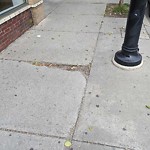 Sidewalk Repair at 294 Harvard St