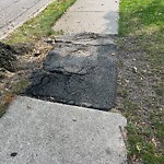 Sidewalk Repair at 32 Abbottsford Rd