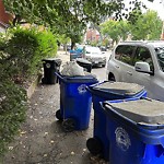 Trash/Recycling at 636 Washington St Aspinwall Hill