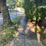 Sidewalk Obstruction at 98 Crowninshield Rd