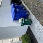 Trash/Recycling at 78 80 Verndale St North Brookline