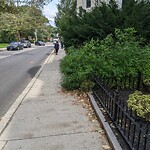 Sidewalk Obstruction at 67 Park St