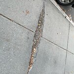 Sidewalk Repair at 42.341N 71.115W