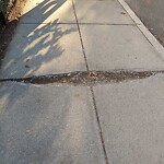 Sidewalk Repair at 130 Longwood Ave