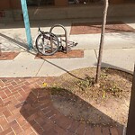 Abandoned Bike at 525 Harvard St