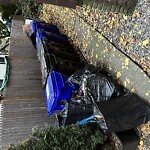Trash/Recycling at 81 Gibbs St North Brookline