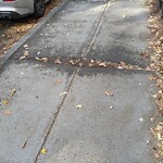 Sidewalk Repair at 124 Longwood Ave