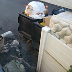 Trash/Recycling at 65 Cameron St