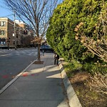 Sidewalk Obstruction at 74 Longwood Ave