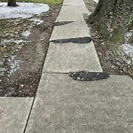 Sidewalk Repair at 168 Independence Dr, Chestnut Hill