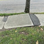 Sidewalk Repair at 126 Independence Dr, Chestnut Hill