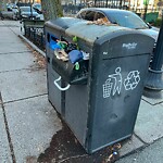 Trash/Recycling at 1003 Beacon St