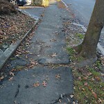 Sidewalk Repair at 105 Colbourne Crescent