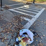 Trash/Recycling at 108 Harvard St