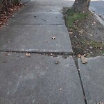 Sidewalk Repair at 663 Chestnut Hill Ave