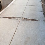 Sidewalk Repair at 124 Longwood Ave
