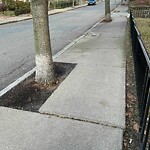 Sidewalk Repair at 56 Garrison Rd
