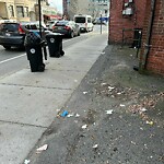 Trash/Recycling at 16 Winchester St