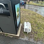 Trash/Recycling at Pond Ave