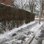 Unshoveled/Icy Sidewalk at 186 Pleasant St