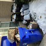 Trash/Recycling at 1578 Beacon St