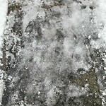 Unshoveled/Icy Sidewalk at 39 Worthington Rd