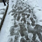Unshoveled/Icy Sidewalk at 260 Fisher Ave