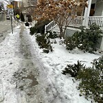 Unshoveled/Icy Sidewalk at 85 Saint Paul St