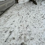 Unshoveled/Icy Sidewalk at 206 Buckminster Rd