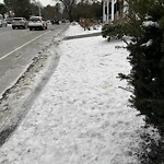 Unshoveled/Icy Sidewalk at 254 Clyde St, Chestnut Hill