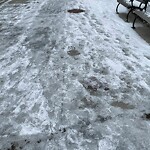 Unshoveled/Icy Sidewalk at Winchester St