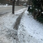 Unshoveled/Icy Sidewalk at 356 Walnut St