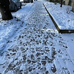 Unshoveled/Icy Sidewalk at 8 Euston St