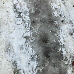 Unshoveled/Icy Sidewalk at 78 Powell St