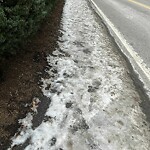 Unshoveled/Icy Sidewalk at 300 Warren St