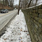 Unshoveled/Icy Sidewalk at 260–294 Warren St