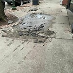 Sidewalk Repair at 398 Harvard St