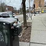 Trash/Recycling at 1424 Beacon St