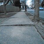 Sidewalk Obstruction at 44 York Terr