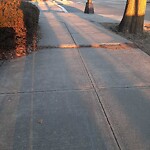 Sidewalk Repair at 1712 Beacon St