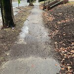 Sidewalk Repair at 111 Clinton Rd