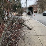 Sidewalk Obstruction at 99 Park St