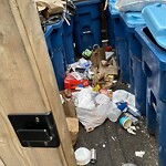 Trash/Recycling at 1578 Beacon St, Brookline 02446
