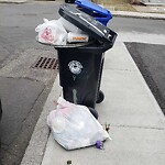Trash/Recycling at 9 Leverett St